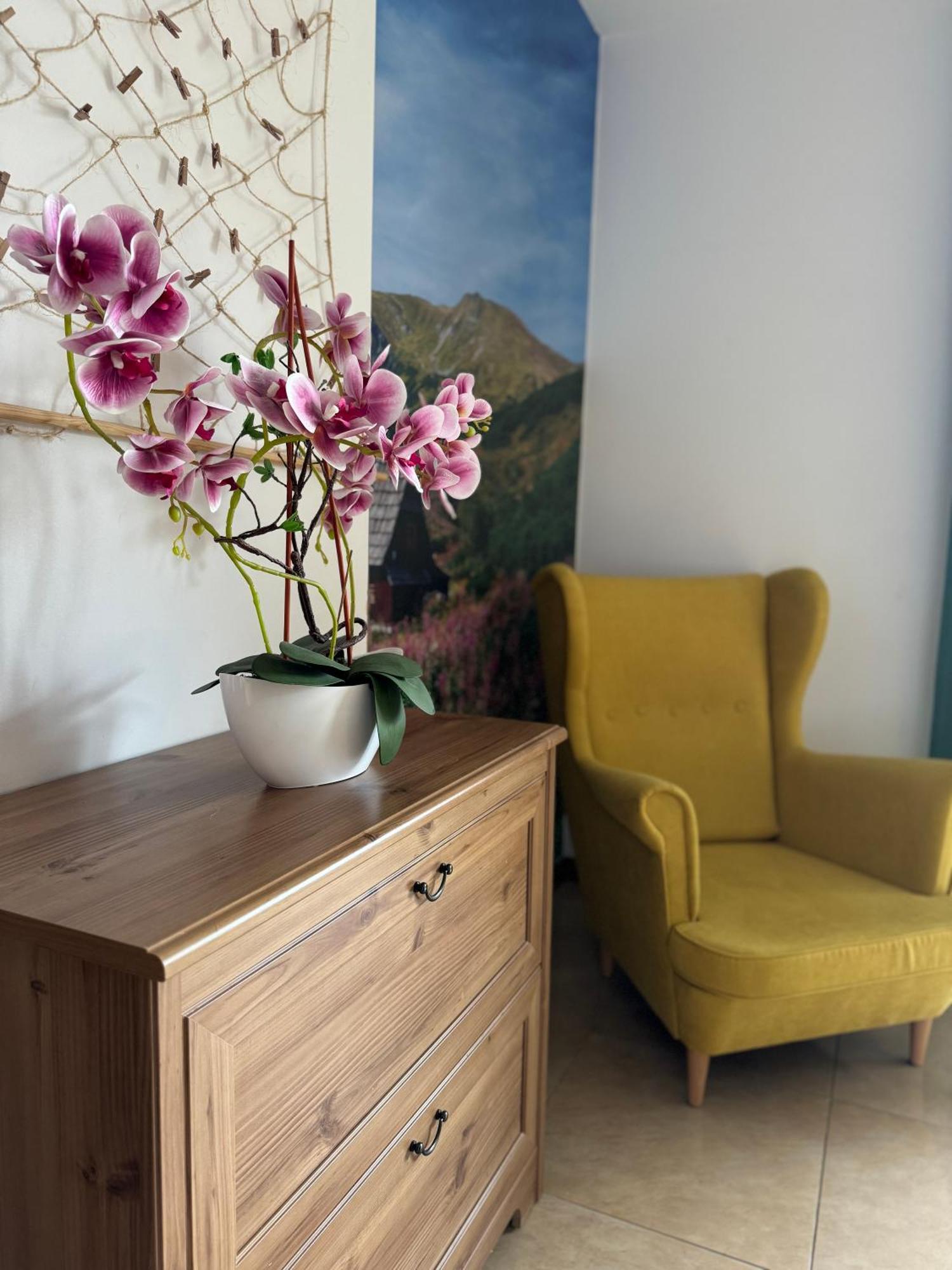 Zakopane - Apartament Chomikowka Экстерьер фото